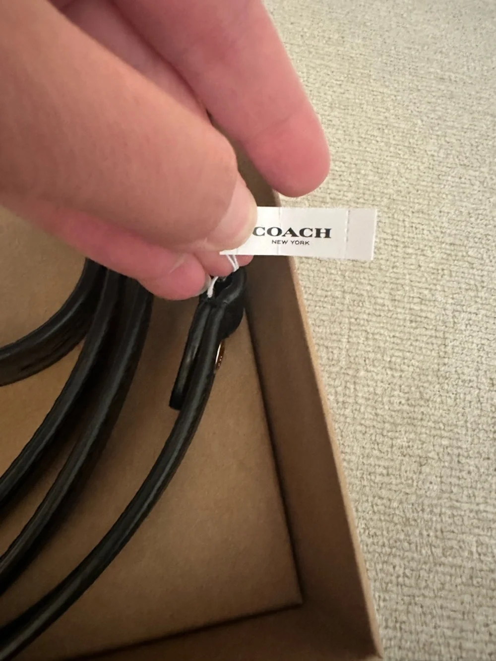Leather Dog Leash in Black - Coach